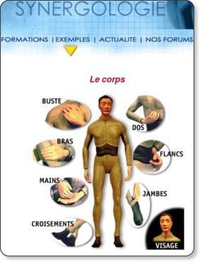 synerlogie